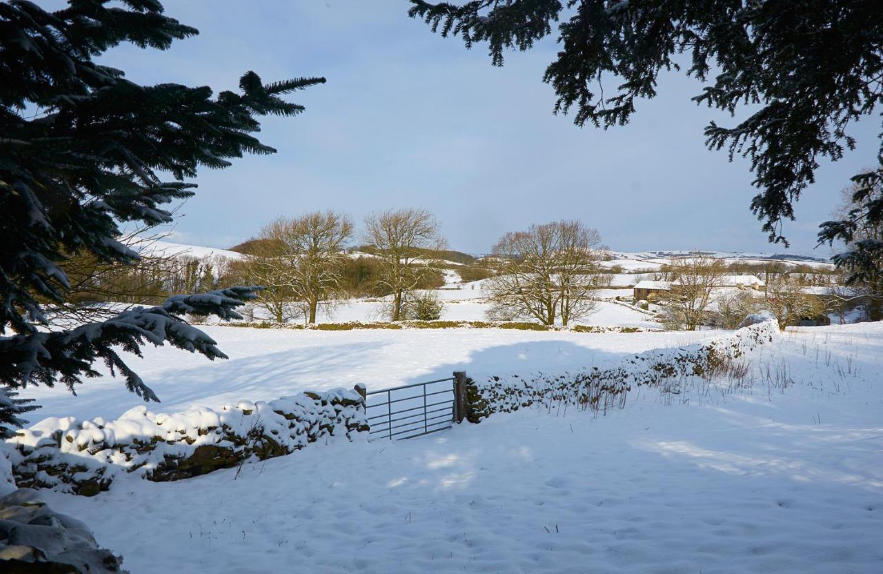 Canny Brow Barn Kendal Exteriér fotografie